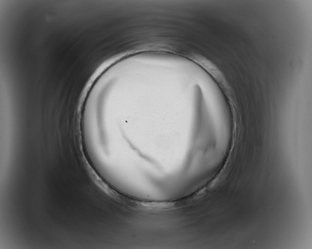 X0000086241200200704191814