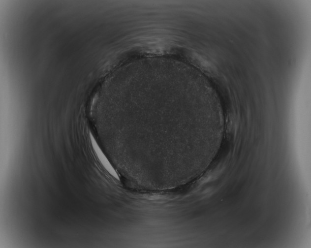 X0000086241202200704191814
