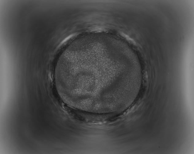 X0000086241206200704191814