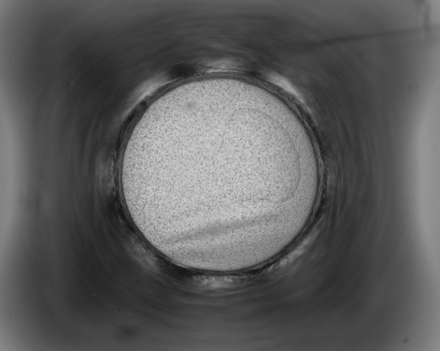 X0000086241211200704191814