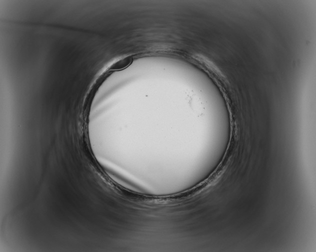 X0000086241212200704191814