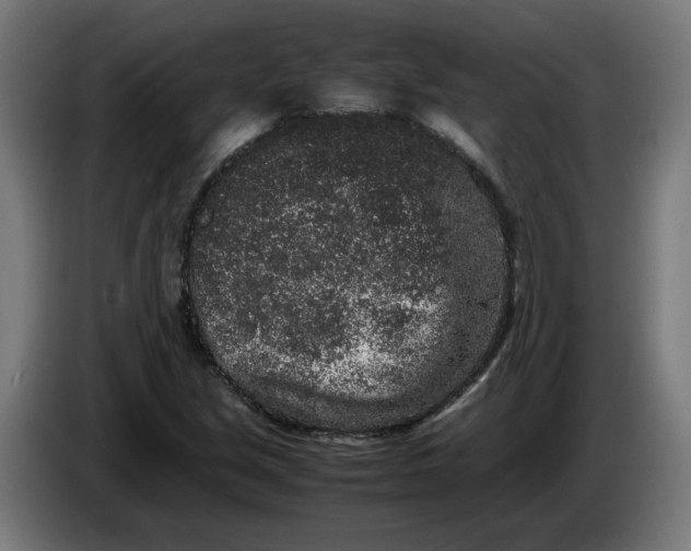 X0000086241213200704191814