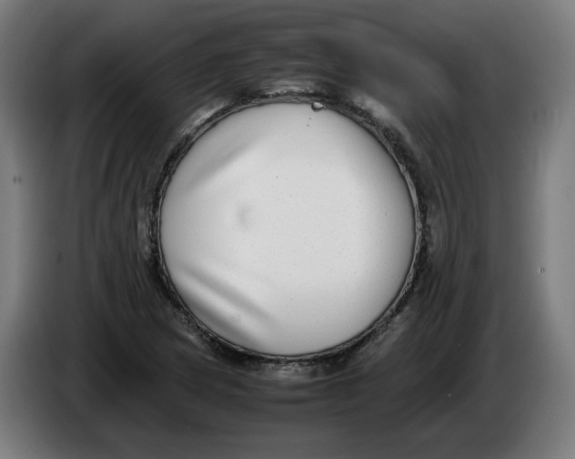 X0000086241217200704191814