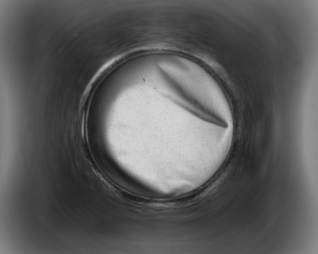 X0000086241224200704191814