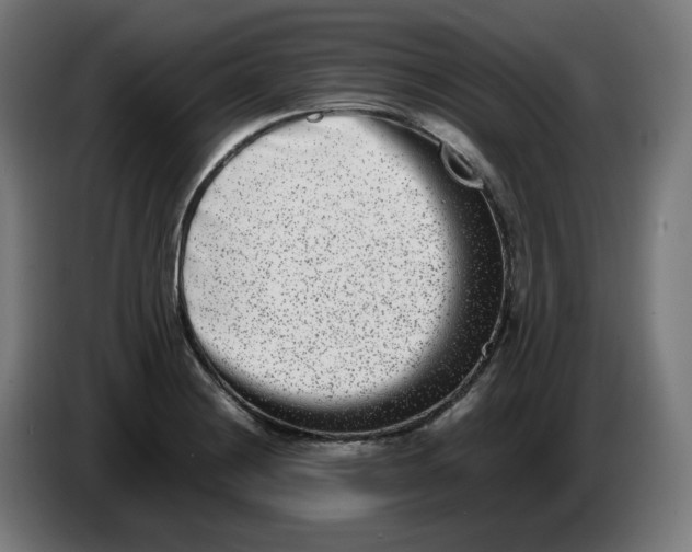 X0000086241228200704191814