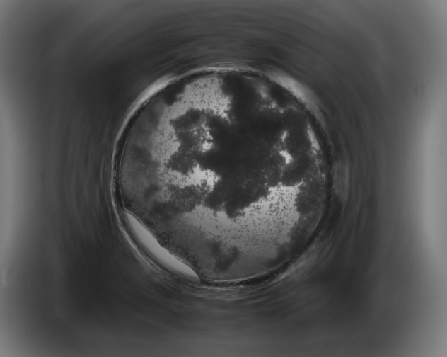 X0000086241229200704191814