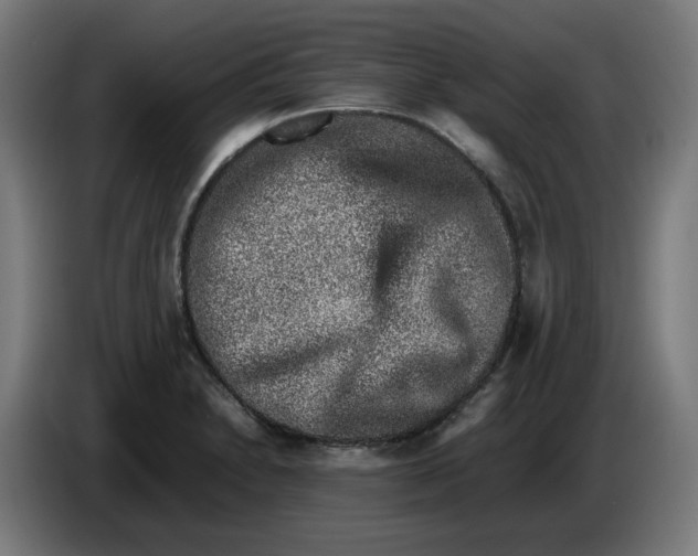 X0000086241230200704191814