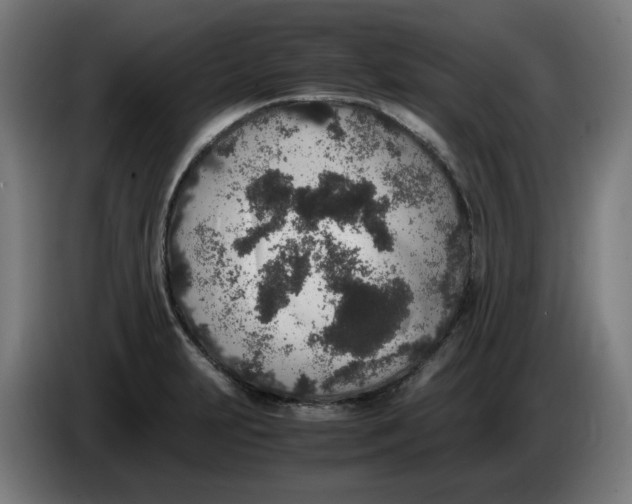 X0000086241231200704191814