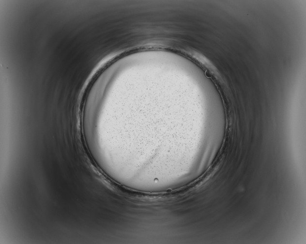 X0000086241232200704191814