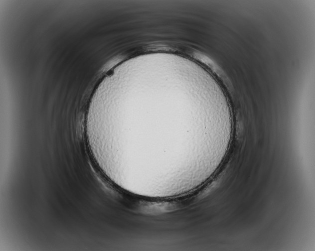 X0000086241233200704191814