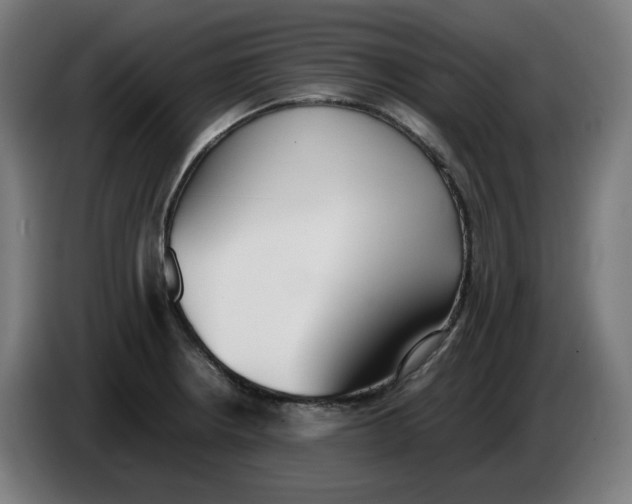 X0000086241234200704191814