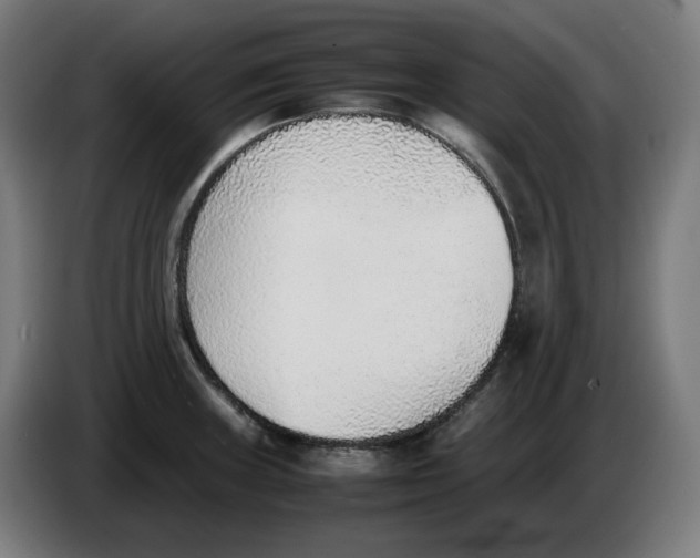 X0000086241235200704191814