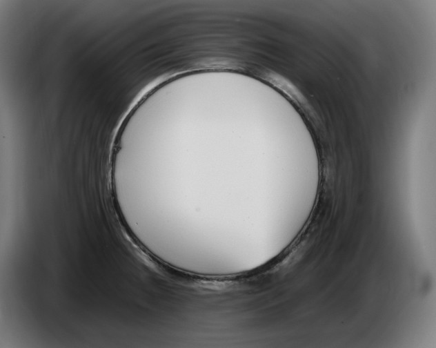 X0000086241236200704191814