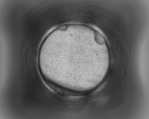 X0000086241237200704191814
