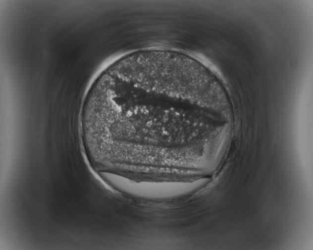 X0000086241239200704191814