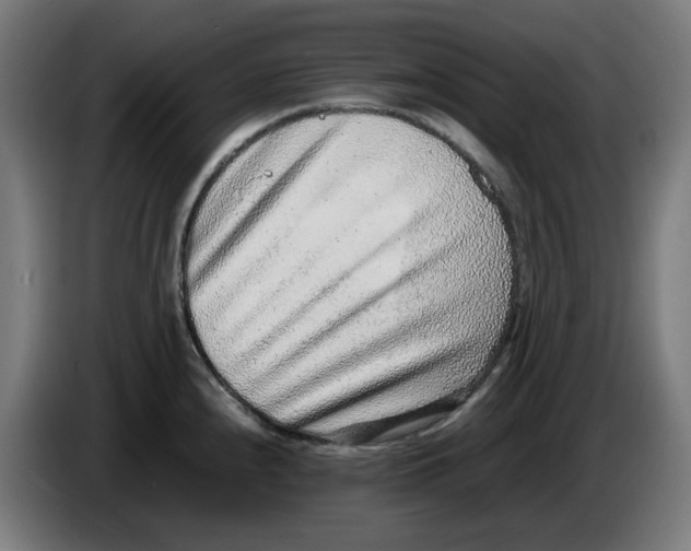 X0000086241240200704191814
