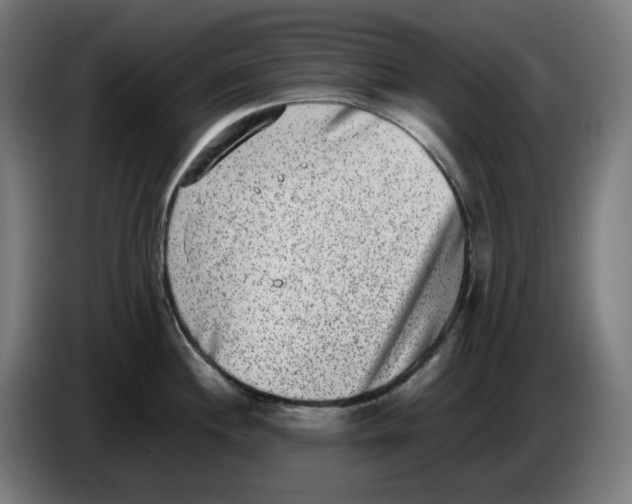 X0000086241244200704191814