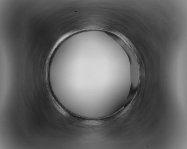 X0000086241246200704191814