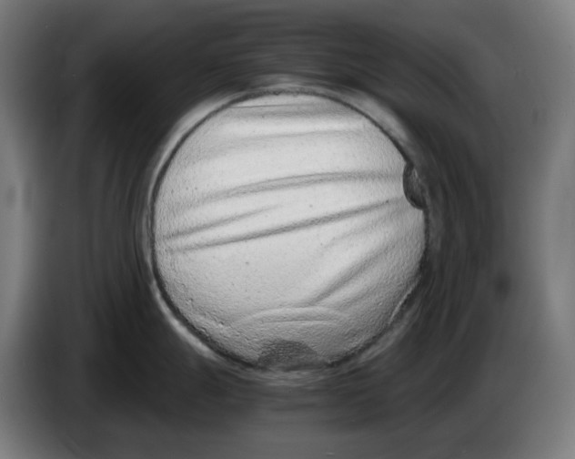X0000086241247200704191814