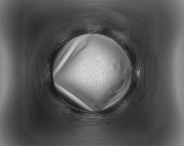 X0000086241252200704191813