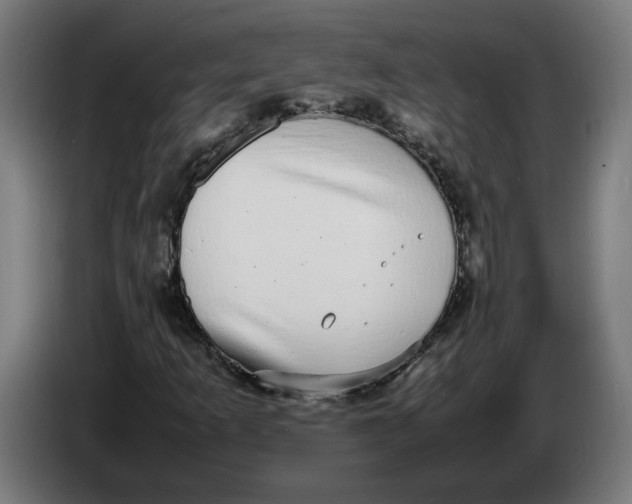 X0000086241253200704191813
