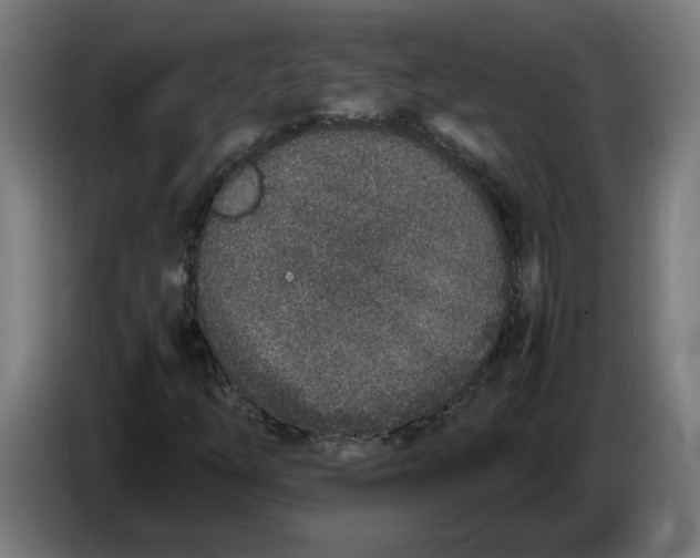 X0000086241254200704191813