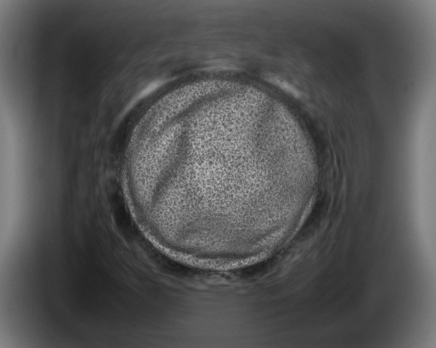 X0000086241255200704191813
