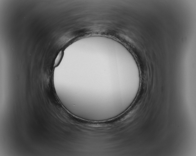 X0000086241257200704191813