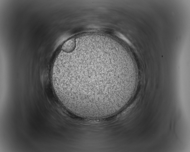 X0000086241259200704191813
