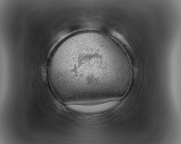X0000086241260200704191813