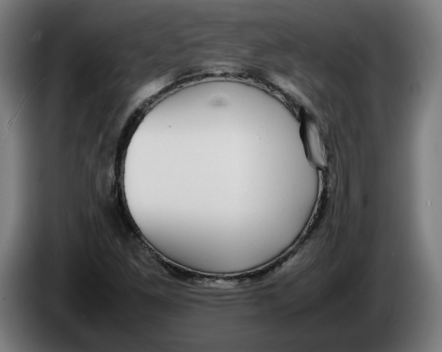 X0000086241261200704191813