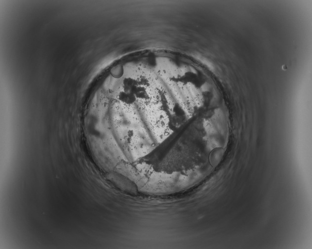 X0000086241263200704191813