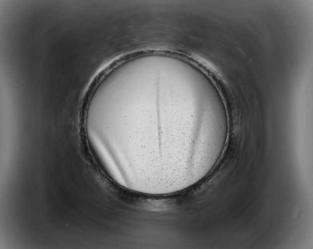 X0000086241264200704191813