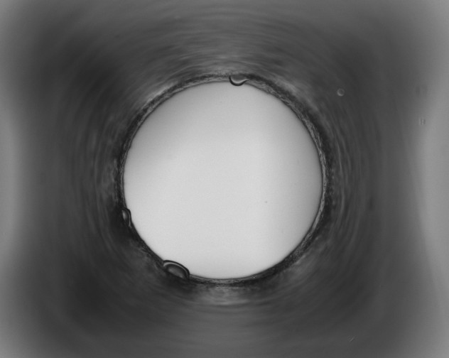 X0000086241265200704191813