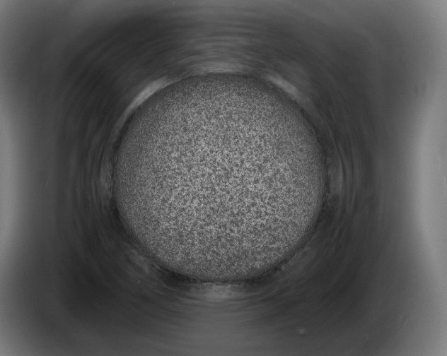 X0000086241266200704191813