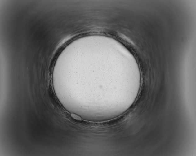 X0000086241267200704191813