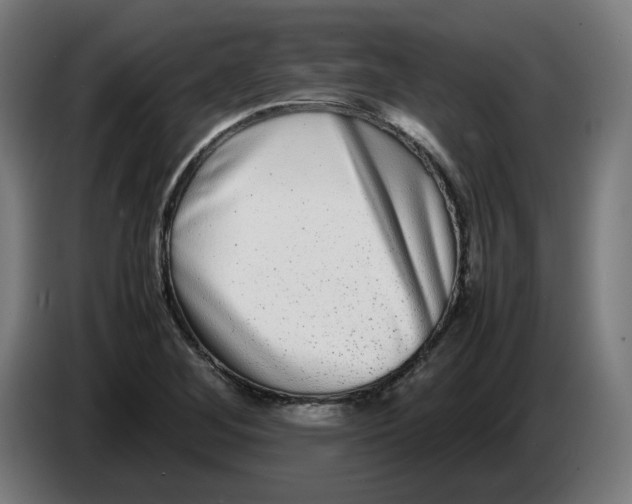 X0000086241268200704191813