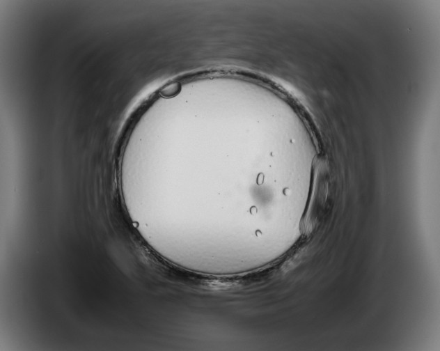 X0000086241271200704191813