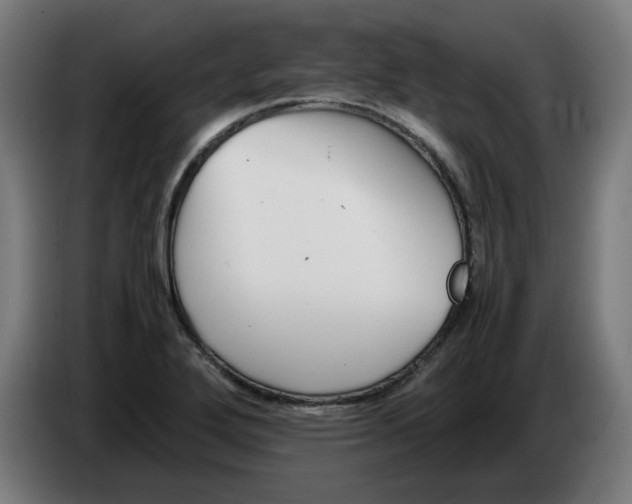 X0000086241272200704191813