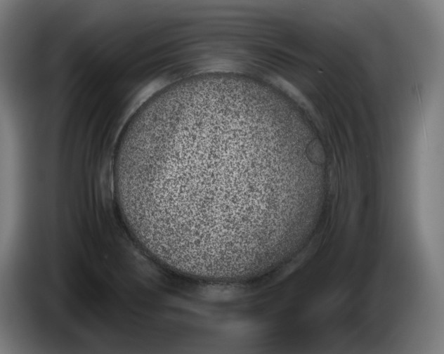 X0000086241274200704191813