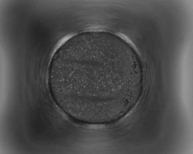 X0000086241277200704191813