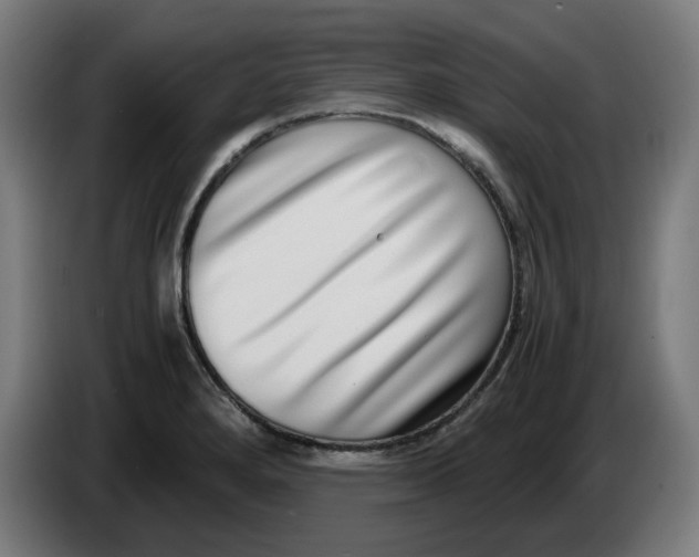 X0000086241280200704191813