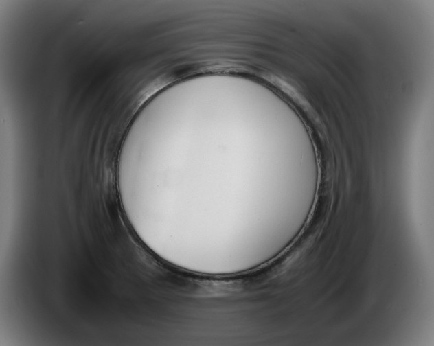 X0000086241281200704191813