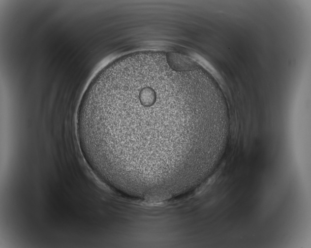X0000086241283200704191813