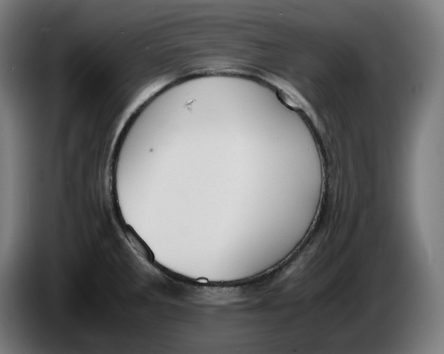 X0000086241285200704191813