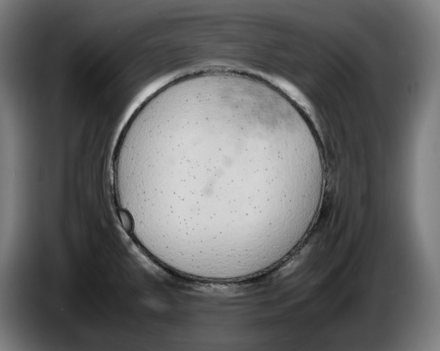 X0000086241287200704191813