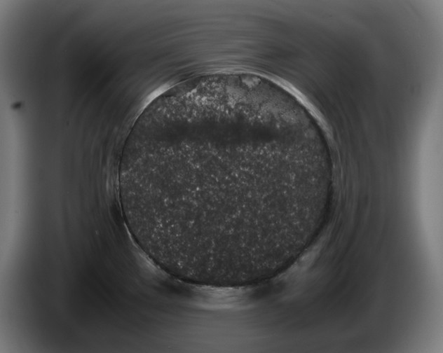 X0000086241289200704191813