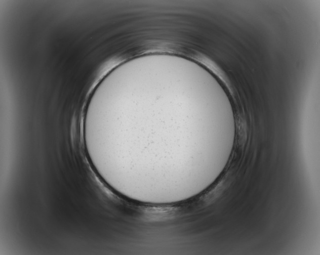 X0000086241290200704191813
