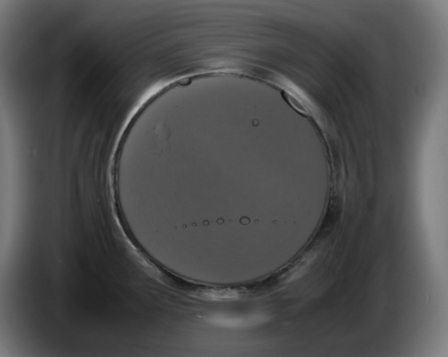 X0000086241291200704191813