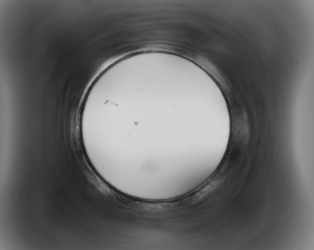 X0000086241292200704191813